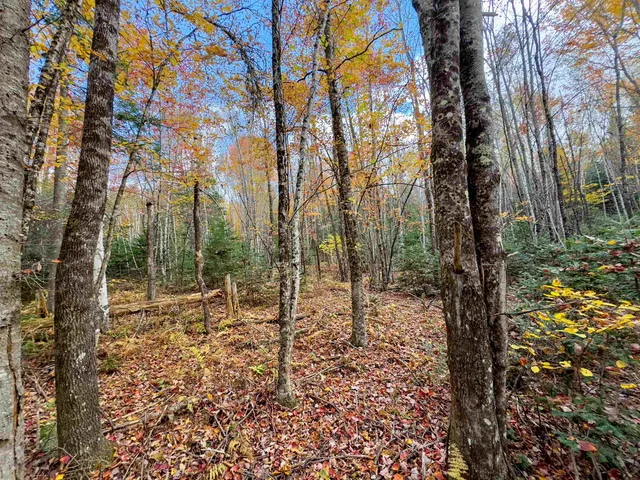 $214,900 | 0 West Main Street, Lunenburg, VT 05906