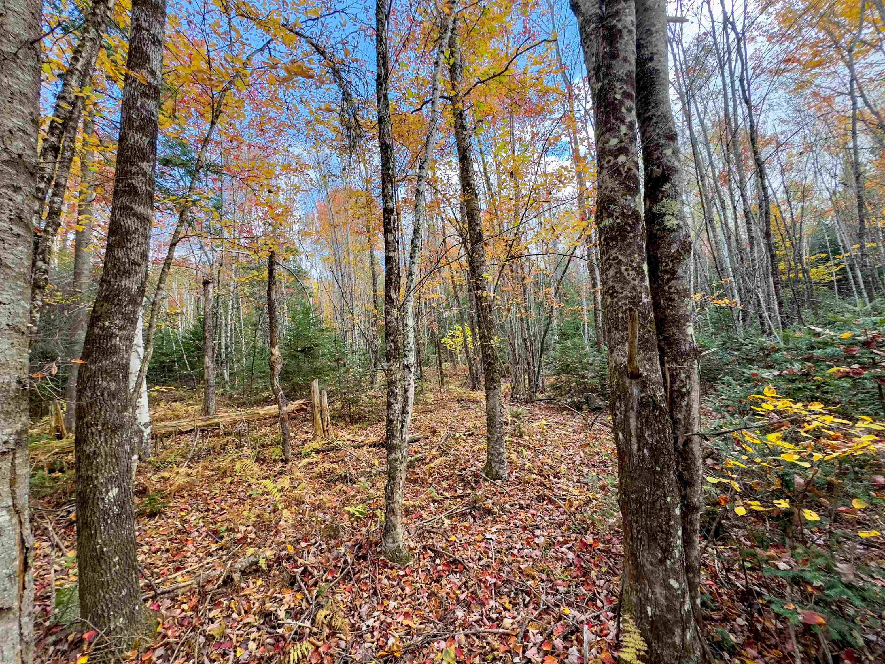 0 West Main Street Lunenburg, VT 05906 - Photo 4 of 15