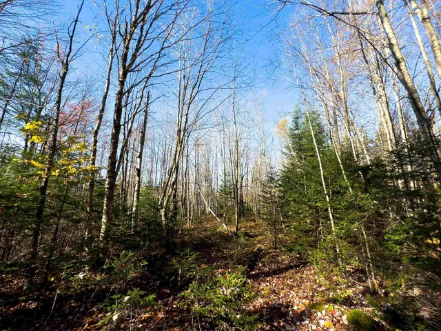 $214,900 | 0 West Main Street, Lunenburg, VT 05906