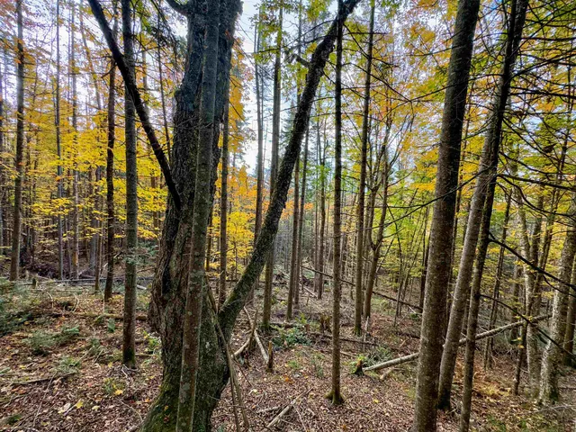 $214,900 | 0 West Main Street, Lunenburg, VT 05906