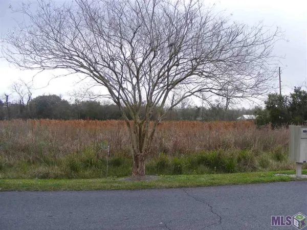 $29,500 | Tbd-2 West 134th Place, Cut Off, LA 70345