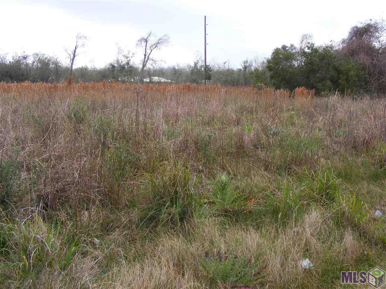 Tbd-2 West 134th Place Cut Off, LA 70345 - Photo 2 of 2