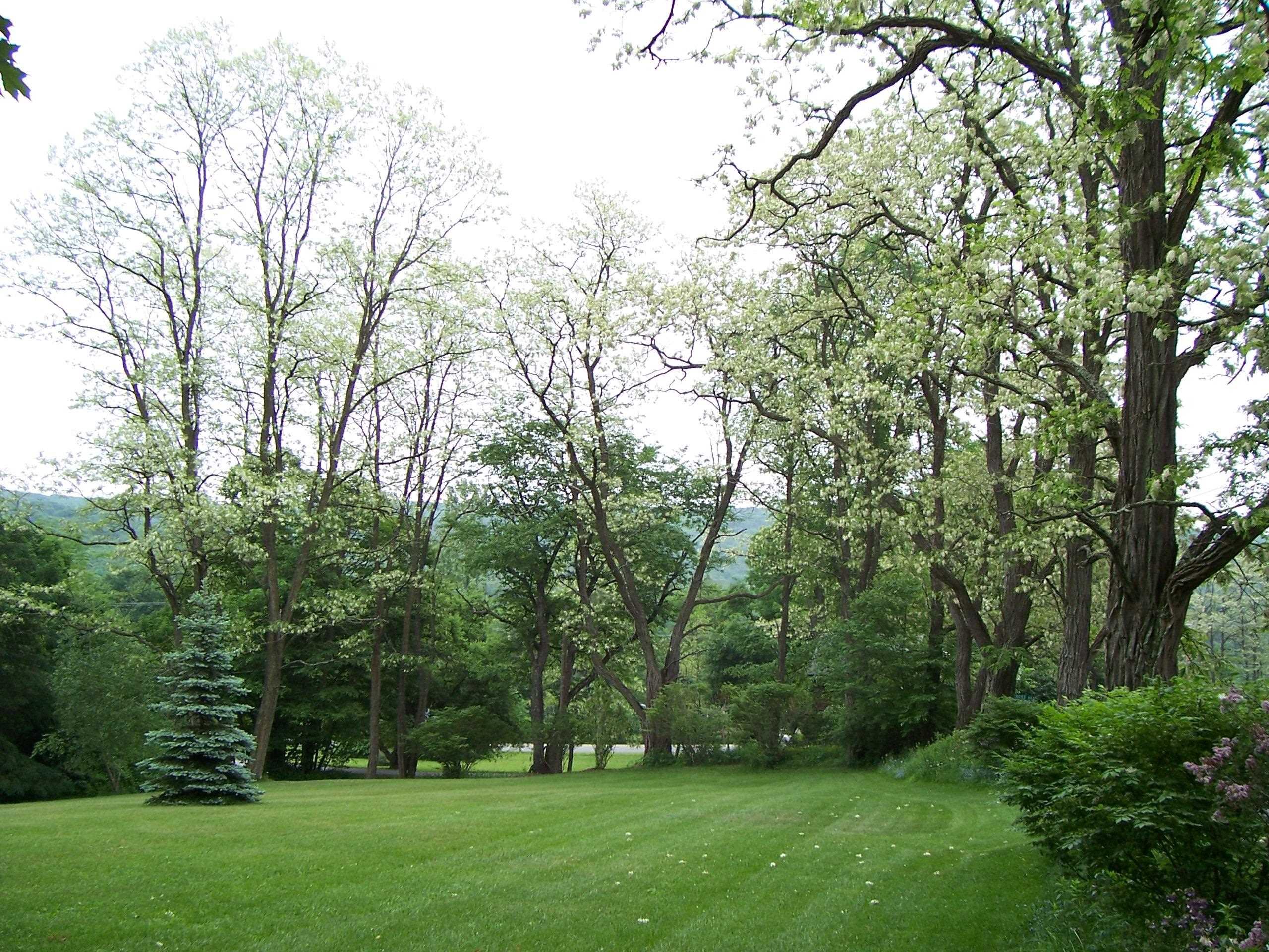 22 West Hill Road Putney, VT 05346 - Photo 38 of 40