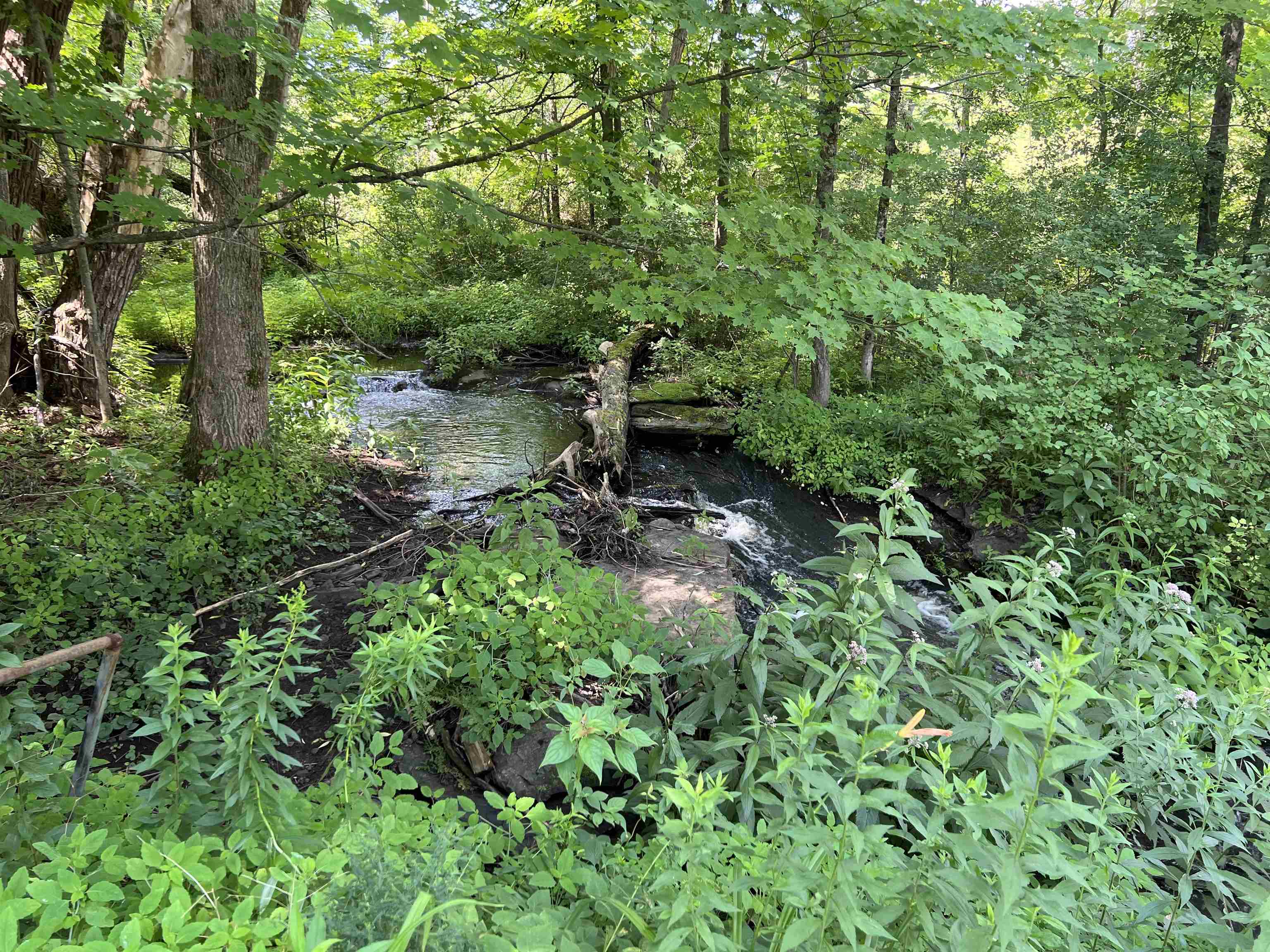 109 Sodom Road Georgia, VT 05468 - Photo 14 of 14