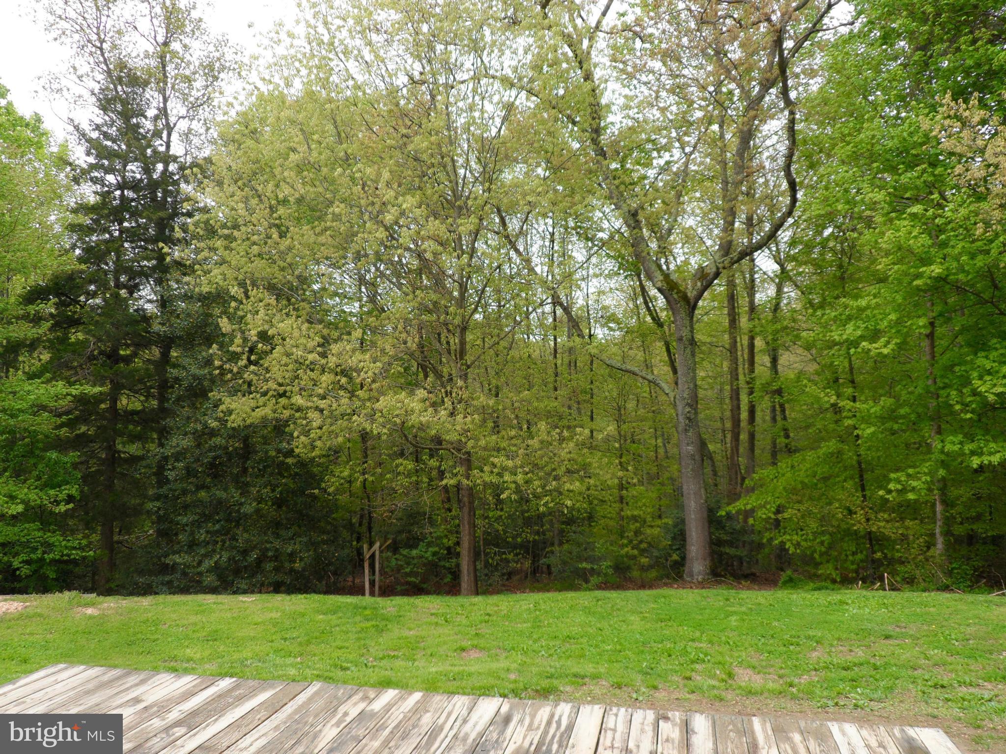 7244 Peppermill Road King George, VA 22485 - Photo 12 of 30 a view of a park with large trees