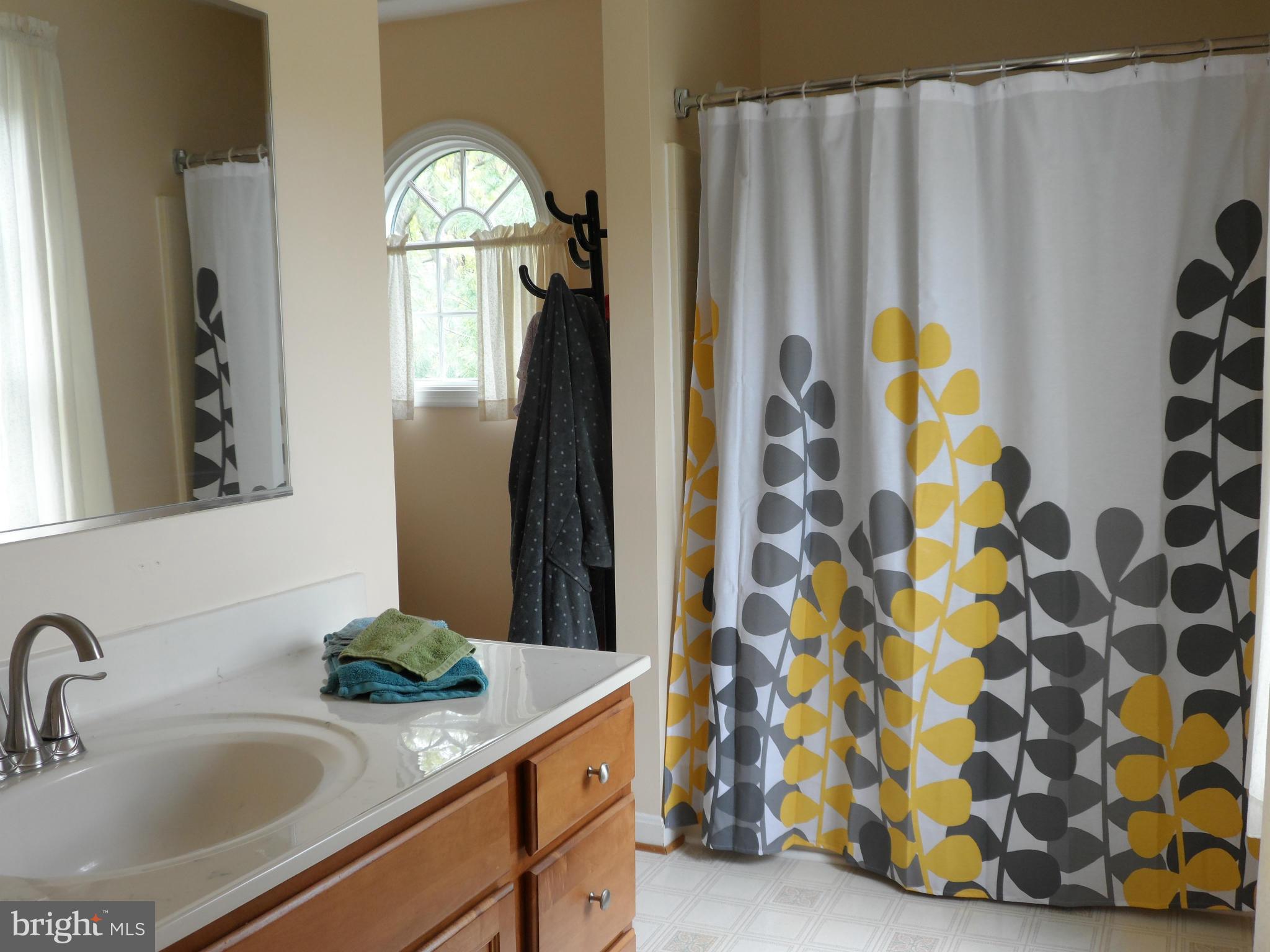 7244 Peppermill Road King George, VA 22485 - Photo 25 of 30 a bathroom with a sink a mirror and a shower curtain