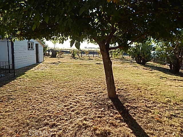 818 South Tehama Street Willows, CA 95988 - Photo 10 of 12 a large tree covered with tall trees