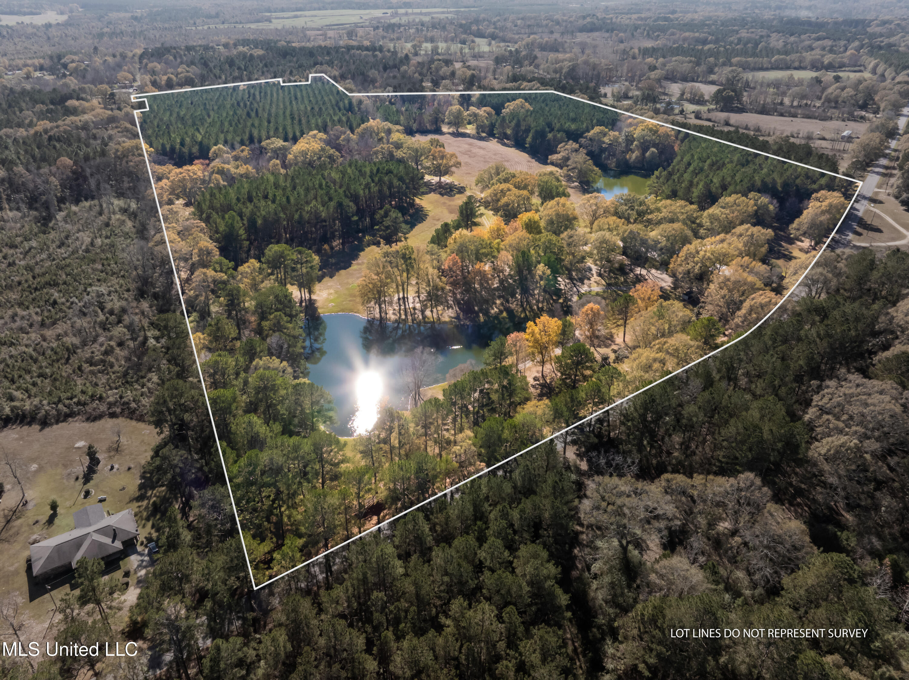 5844 North Williamsburg Road Bassfield, MS 39421 - Photo 3 of 90 5844_N_Williamsburg_Rd-90