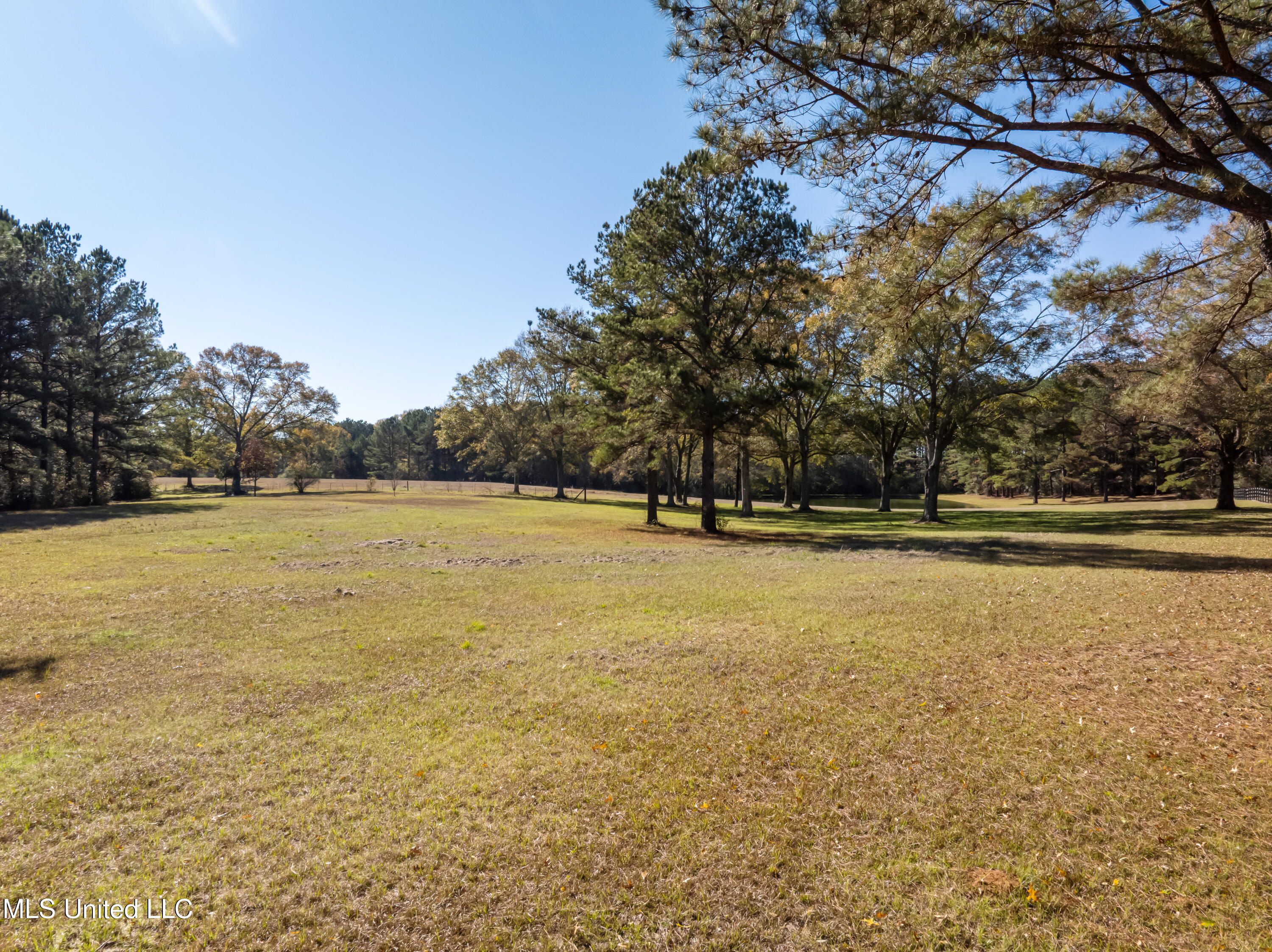 5844 North Williamsburg Road Bassfield, MS 39421 - Photo 76 of 90 5844_N_Williamsburg_Rd-77