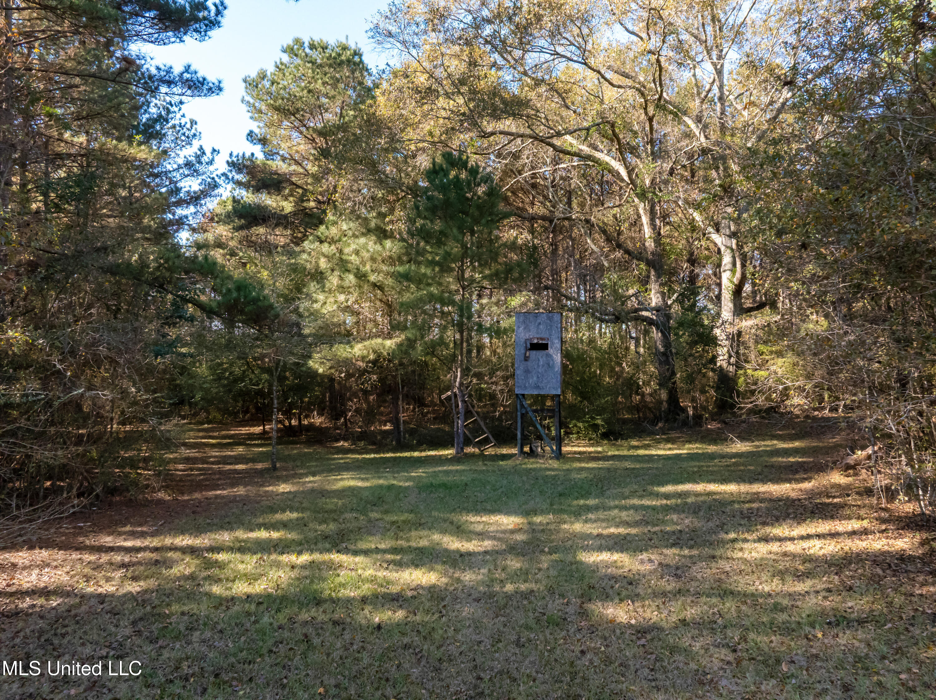 5844 North Williamsburg Road Bassfield, MS 39421 - Photo 81 of 90 5844_N_Williamsburg_Rd-82