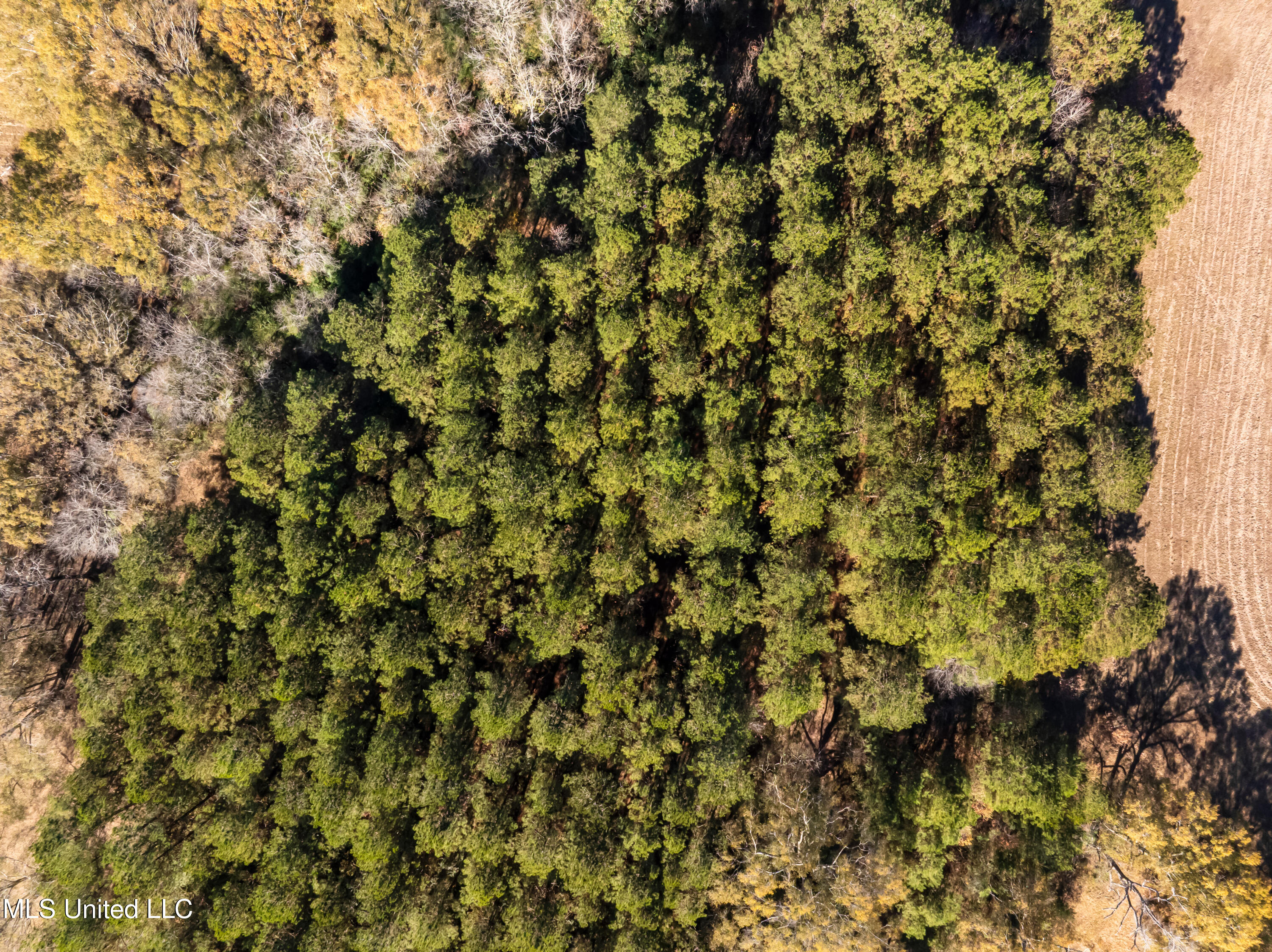 5844 North Williamsburg Road Bassfield, MS 39421 - Photo 85 of 90 5844_N_Williamsburg_Rd-86