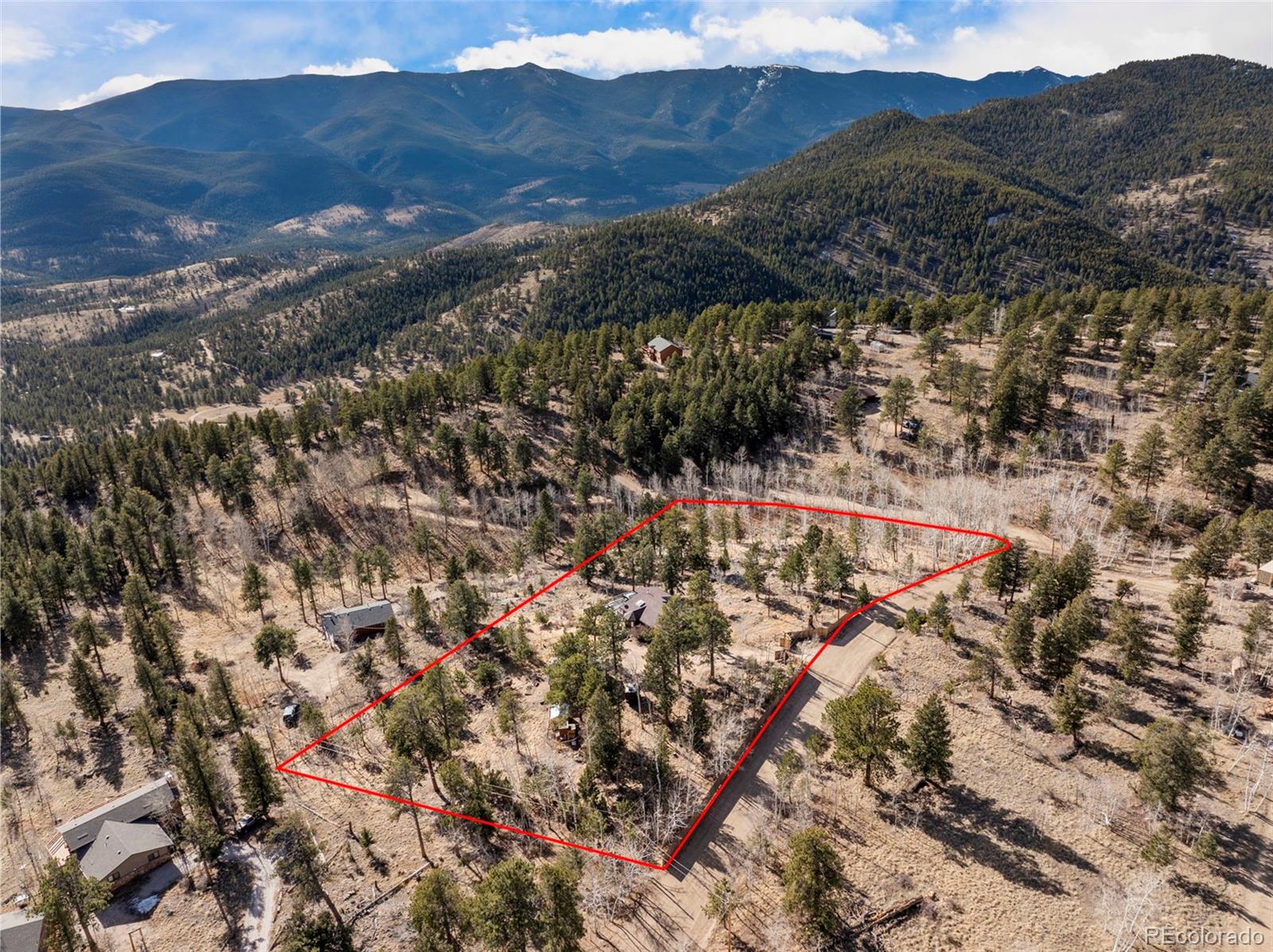 236 Summit Drive Bailey, CO 80421 - Photo 47 of 50