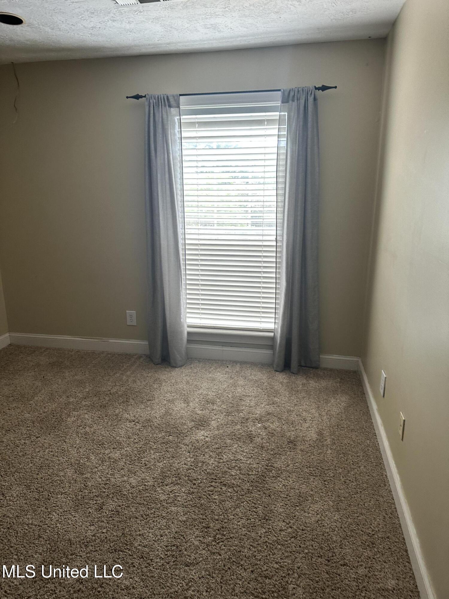 415 Brighton Court Brandon, MS 39047 - Photo 18 of 21 IMG_4302