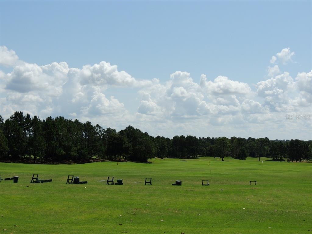 13421 Southeast 92nd Court Road Summerfield, FL 34491 - Photo 51 of 59 a view of a green field with lots of trees
