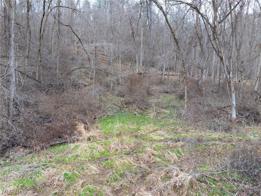 Sarchets Run Road Cambridge, OH 43725 - Photo 10 of 20