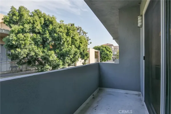 a close up of a plant in a balcony