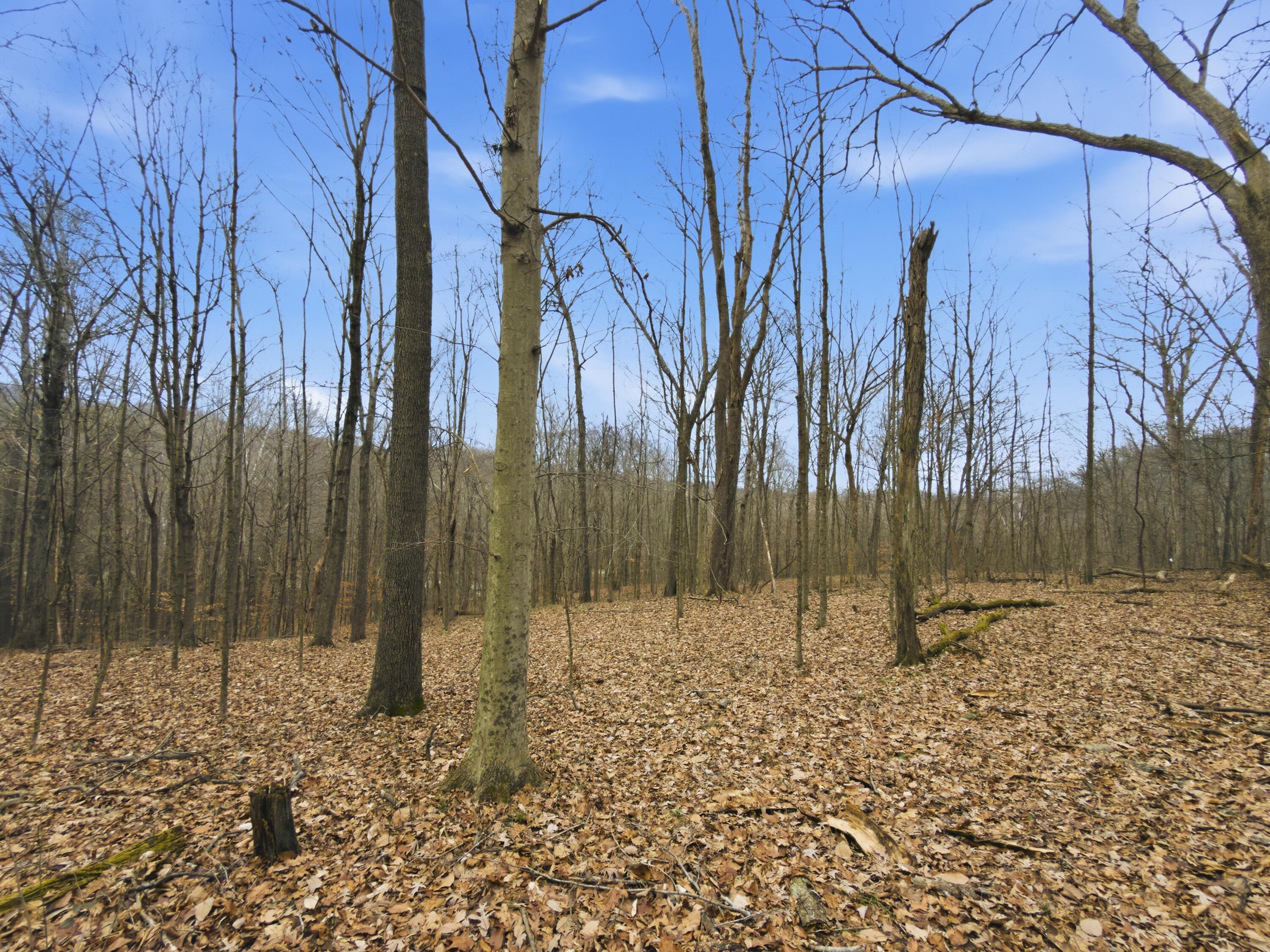 0 East Side Geer Mill Road Vinton, OH 45686 - Photo 18 of 27 IMG_4806