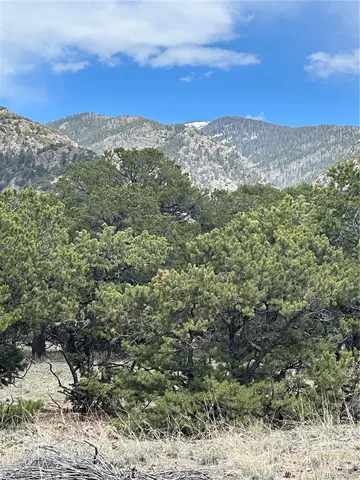 a view of a mountain in the distance in a field