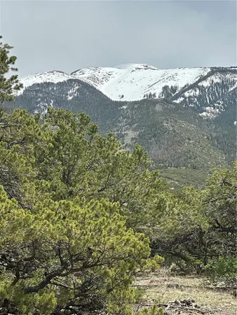 a view of a backyard of a house