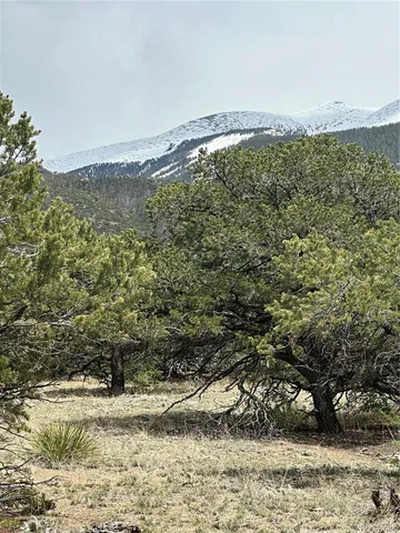 a view of a yard with an outdoor space