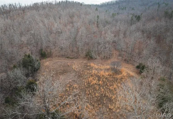 $1,100,000 | 760 County Road 203, Lesterville, MO 63654