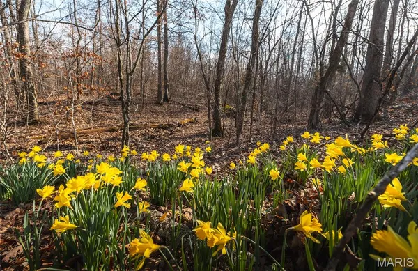 $1,100,000 | 760 County Road 203, Lesterville, MO 63654
