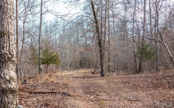 $1,100,000 | 760 County Road 203, Lesterville, MO 63654