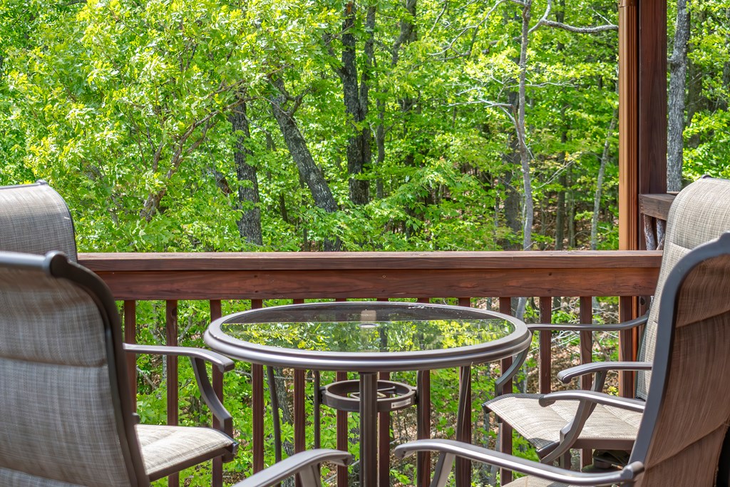 93 Stanley Ridge Road Morganton, GA 30560 - Photo 66 of 69 Gallery Image 66