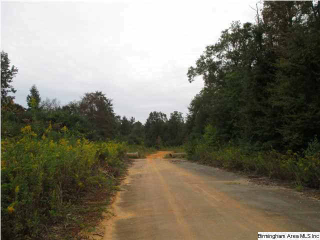 76 Morris Farms Drive Riverside, AL 35135 - Photo 1 of 6