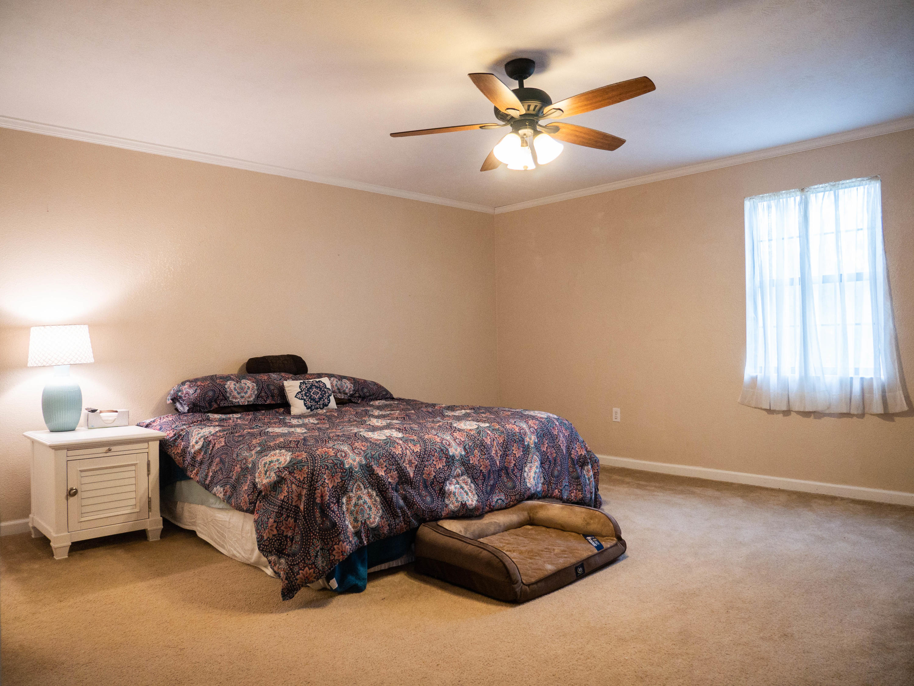 221 Oak Road Norris, TN 37828 - Photo 13 of 21 P1060190
