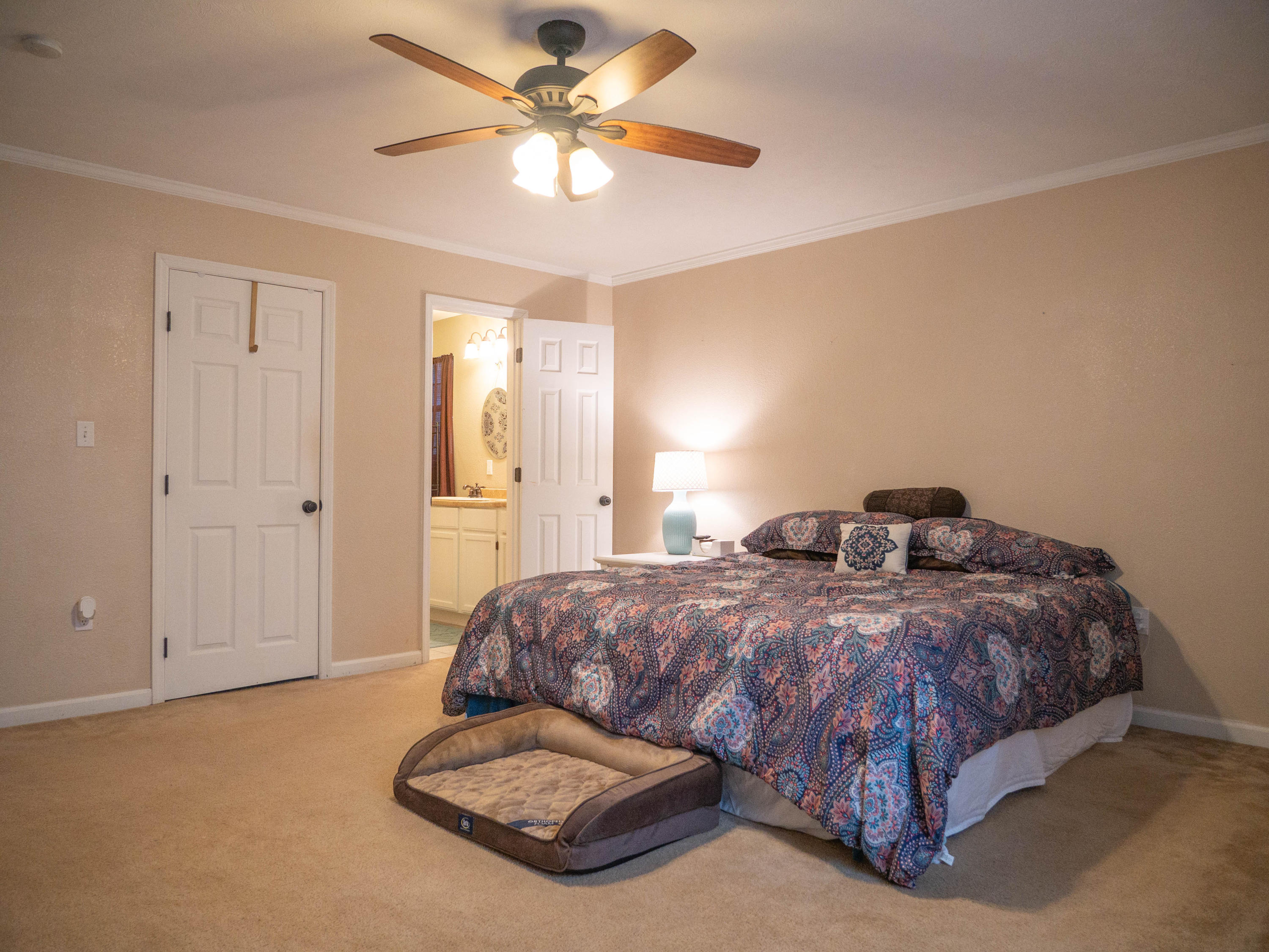 221 Oak Road Norris, TN 37828 - Photo 14 of 21 P1060188