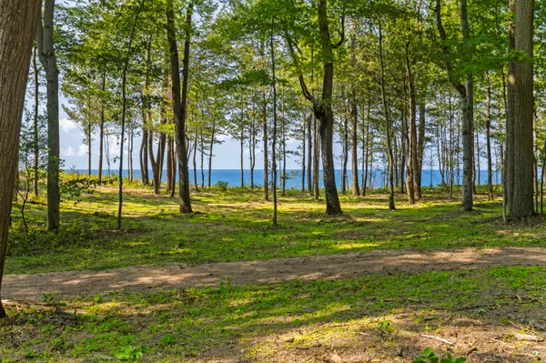 $1,450,000 | 15382 Maxey Road, Arcadia, MI 49613