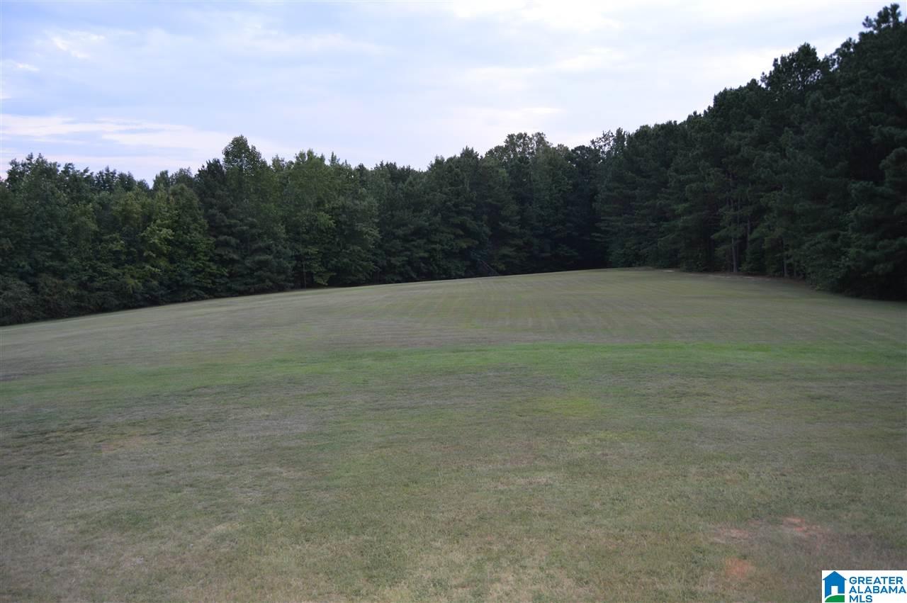 2652 Corner Road Warrior, AL 35180 - Photo 46 of 50
