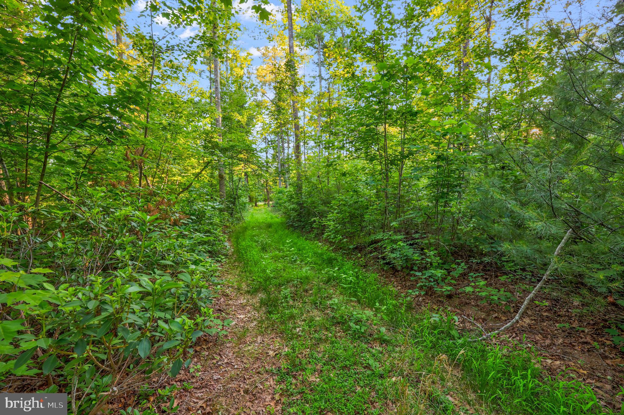 Lot 27-66b Kovi Ridge Trail Reva, VA 22735 - Photo 7 of 20