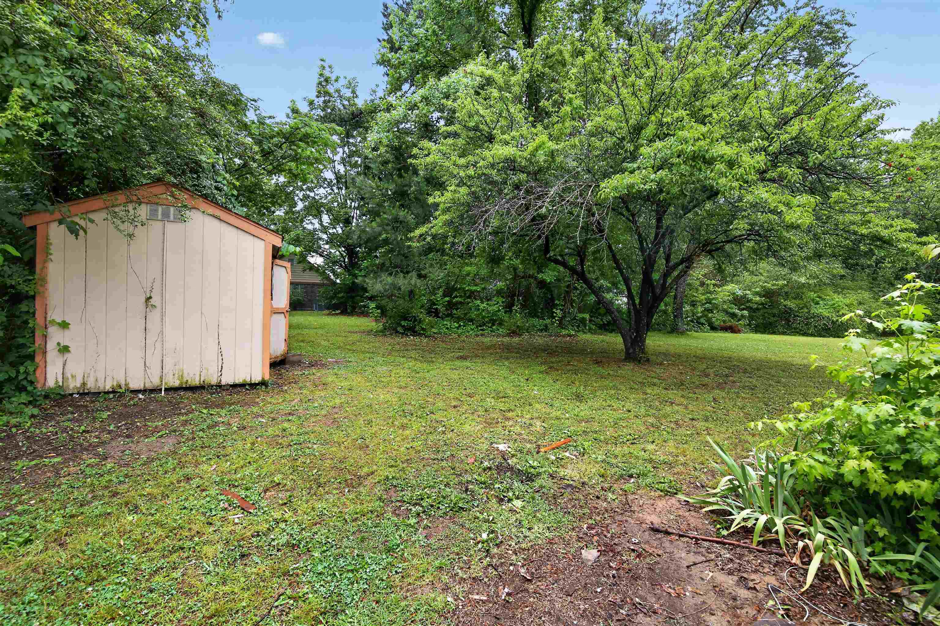 3451 Birdsong Ferry Road Memphis, TN 38118 - Photo 4 of 27 Expansive rear yard featuring mature trees and a storage shed