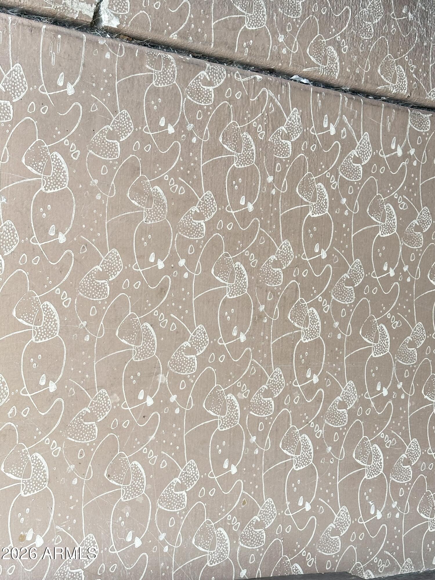 1015 South Prospectors Road Apache Junction, AZ 85119 - Photo 12 of 63 CONCRETE CARPORT COATING