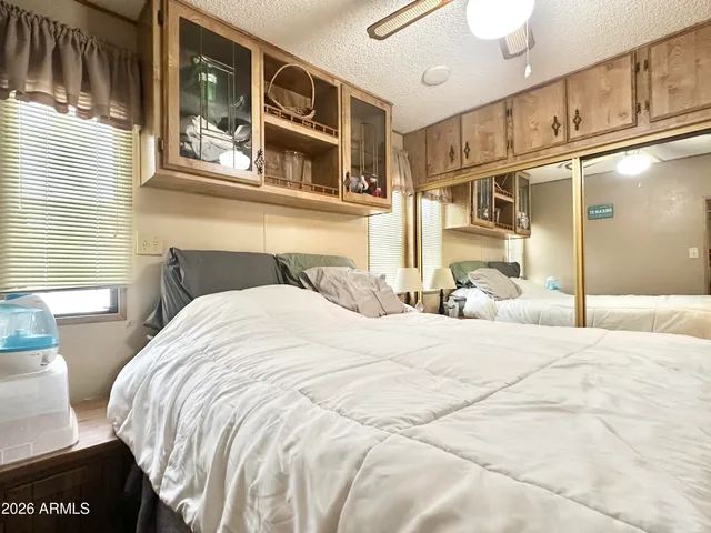 a view of a park with plants and trees