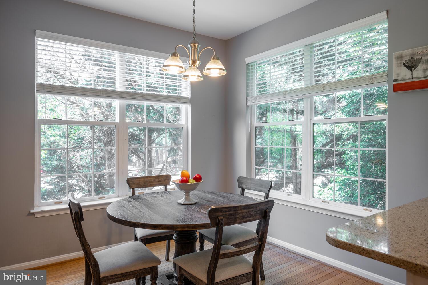 2801 Roesh Way Vienna, VA 22181 - Photo 11 of 32 Breakfast Area Filled with Windows