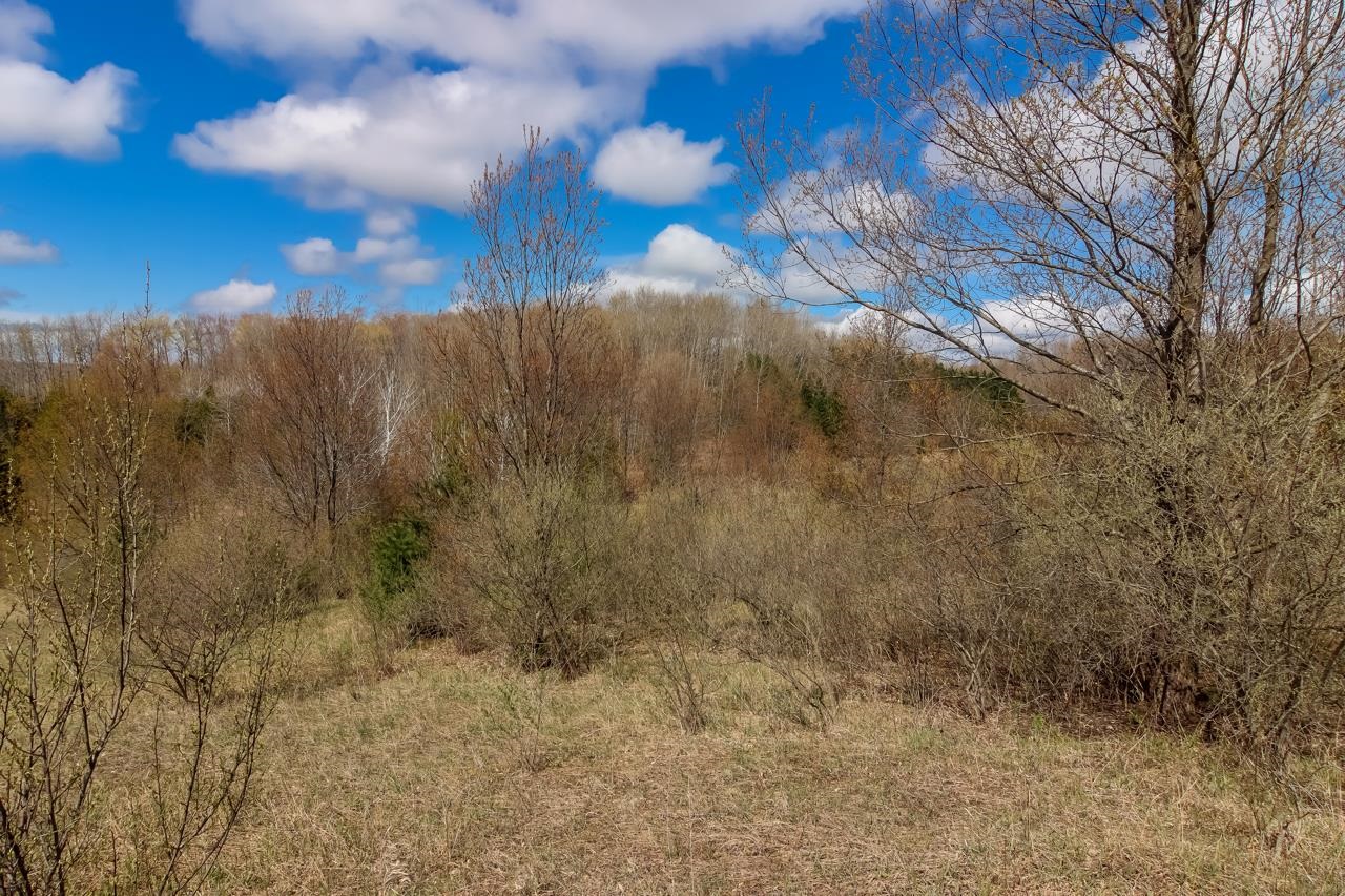6071 East Gallivan Road Cedar, MI 49621 - Photo 29 of 32 1910525-28.JPG