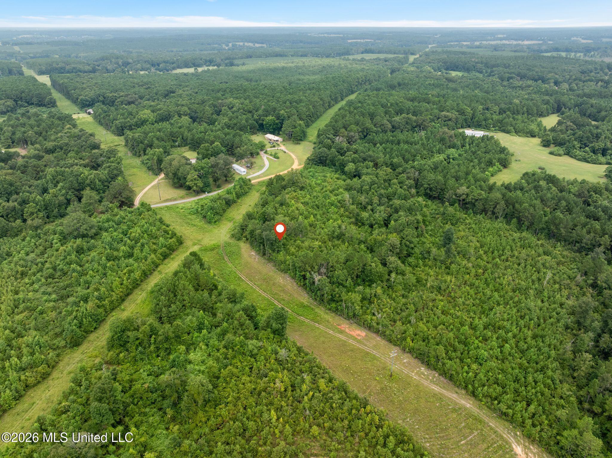 2 Ethel Road Collins, MS 39428 - Photo 7 of 12 52_Ethel_Rd_Lot_2-19
