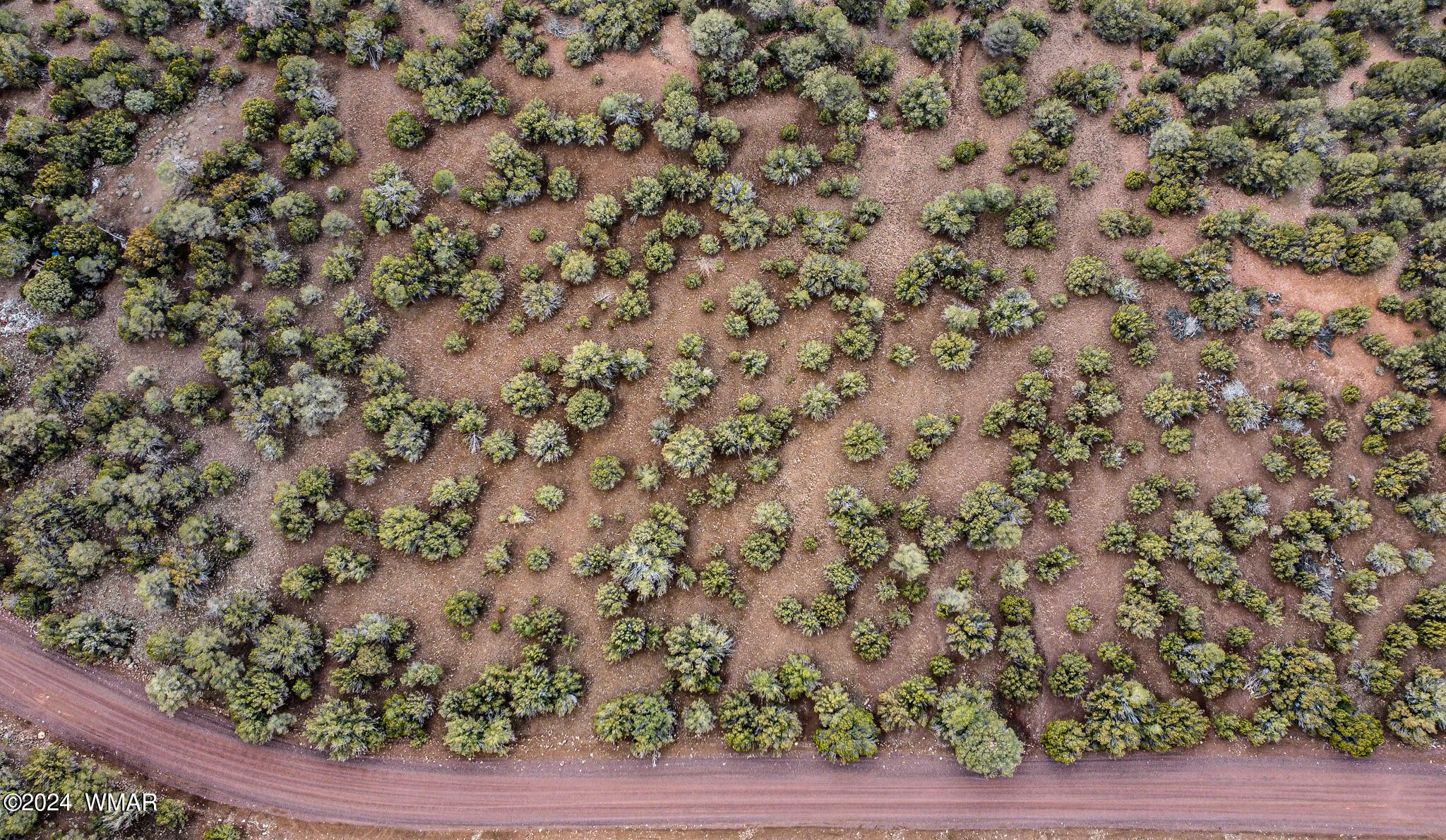 51 Co Road Show Low, AZ 85901 - Photo 5 of 6