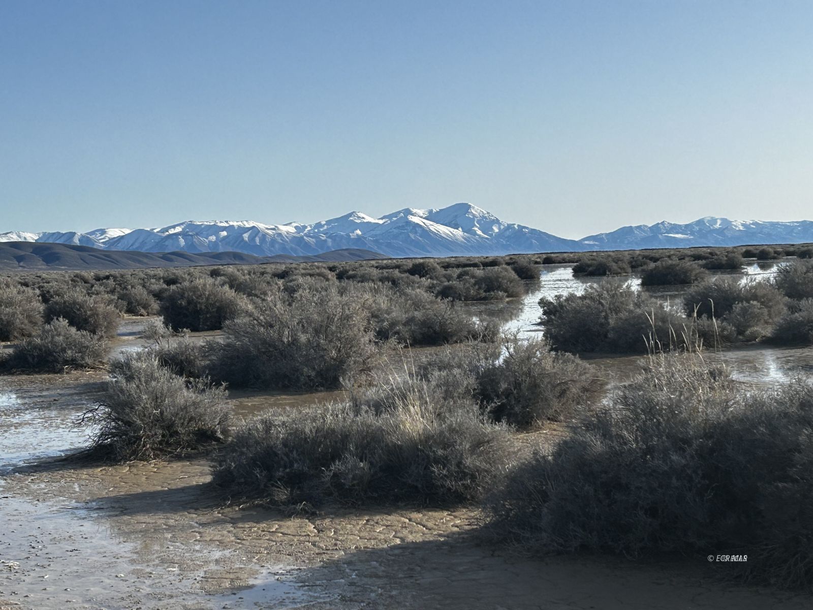 0 T30n Crescent Valley, NV 89821 - Photo 7 of 7