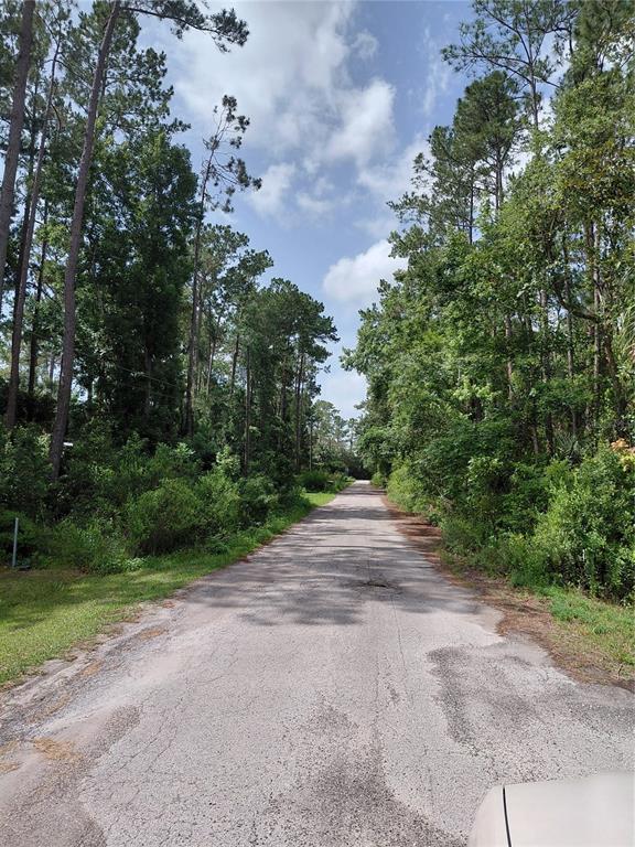 a view of a street with a trees in the background