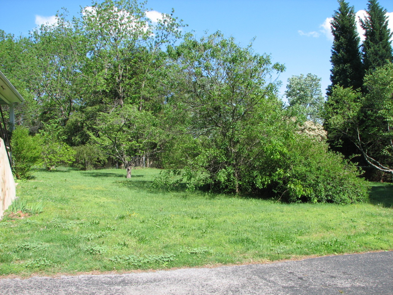 3802 Darlington Road Southwest Roanoke, VA 24018 - Photo 27 of 27 yard2