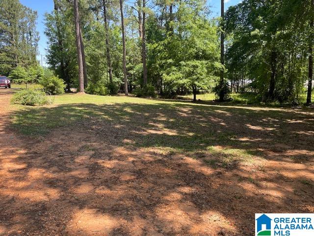 32 Pecan Road Plantersville, AL 36758 - Photo 6 of 38