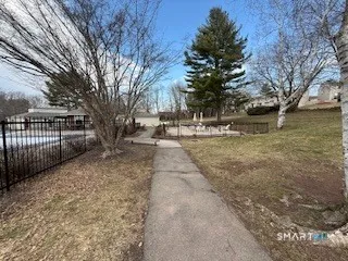 a view of a large trees with a big yard