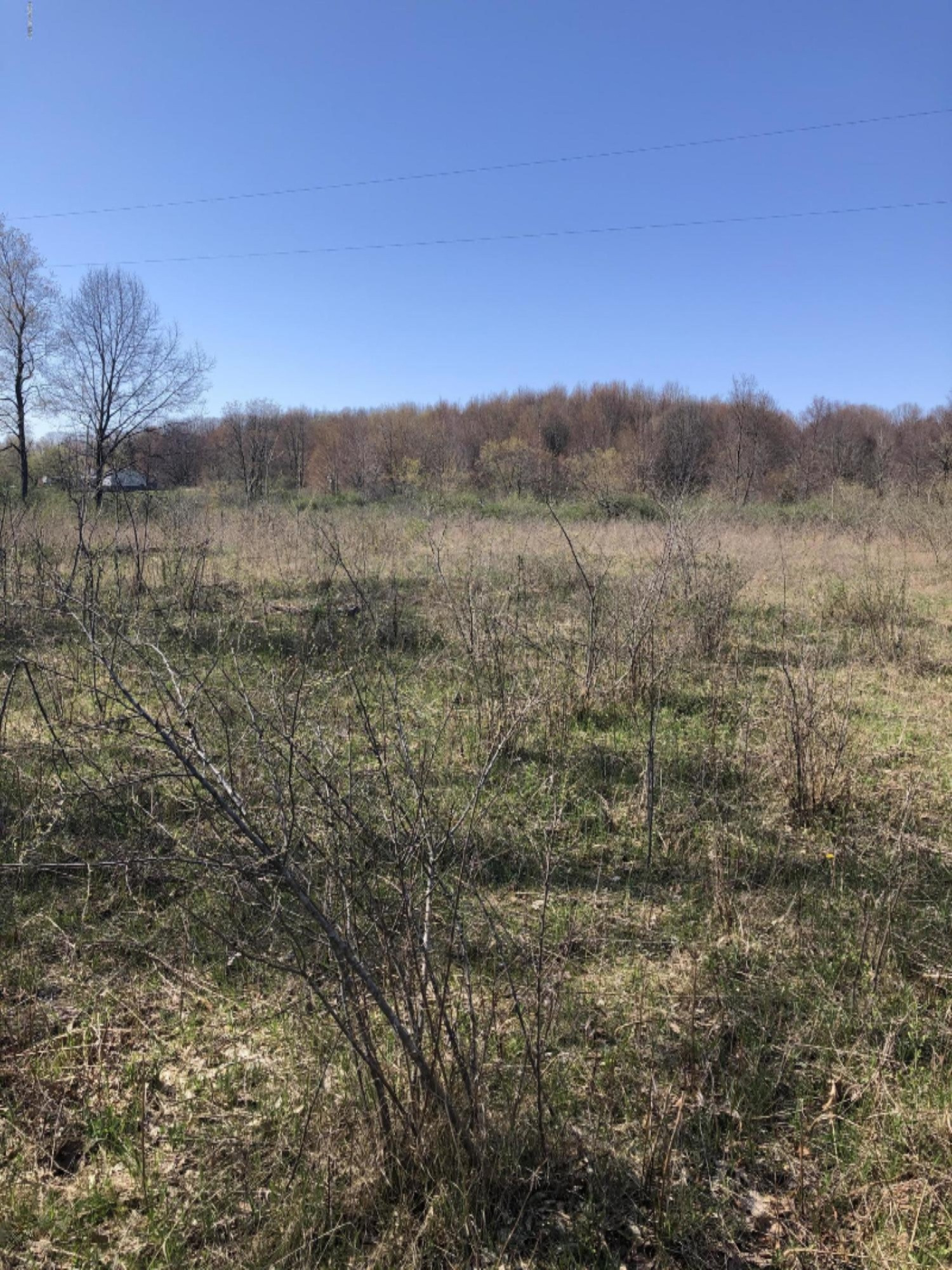 IMG-2962[8516]