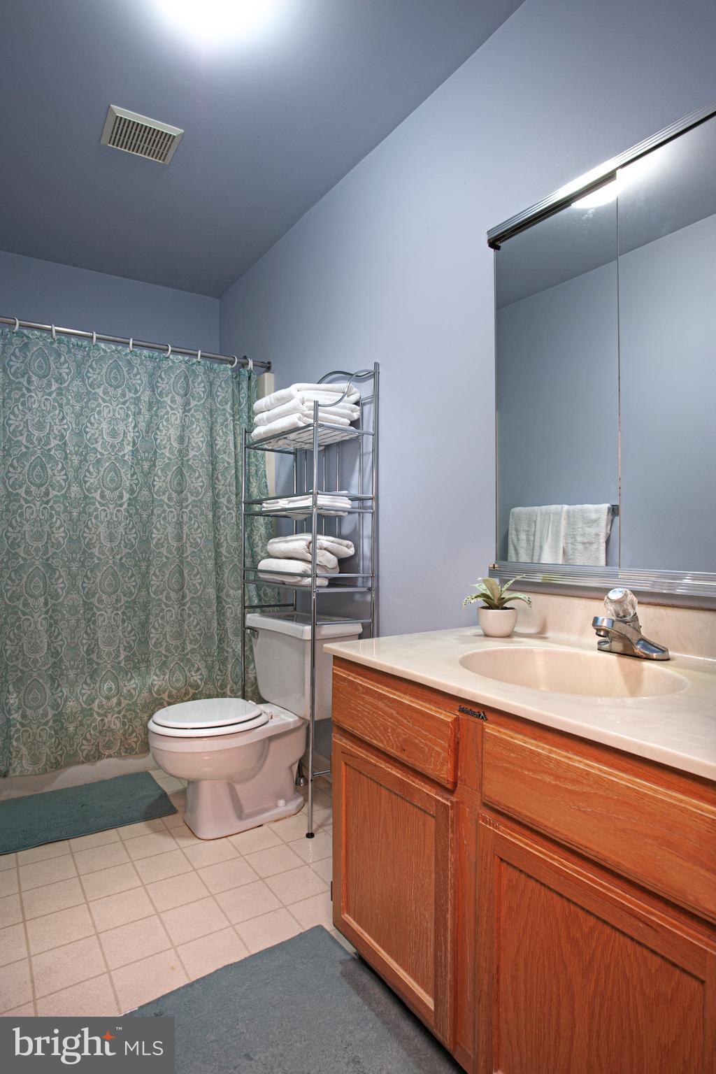 2951 Appledale Road Audubon, PA 19403 - Photo 33 of 36 Hall Bathroom