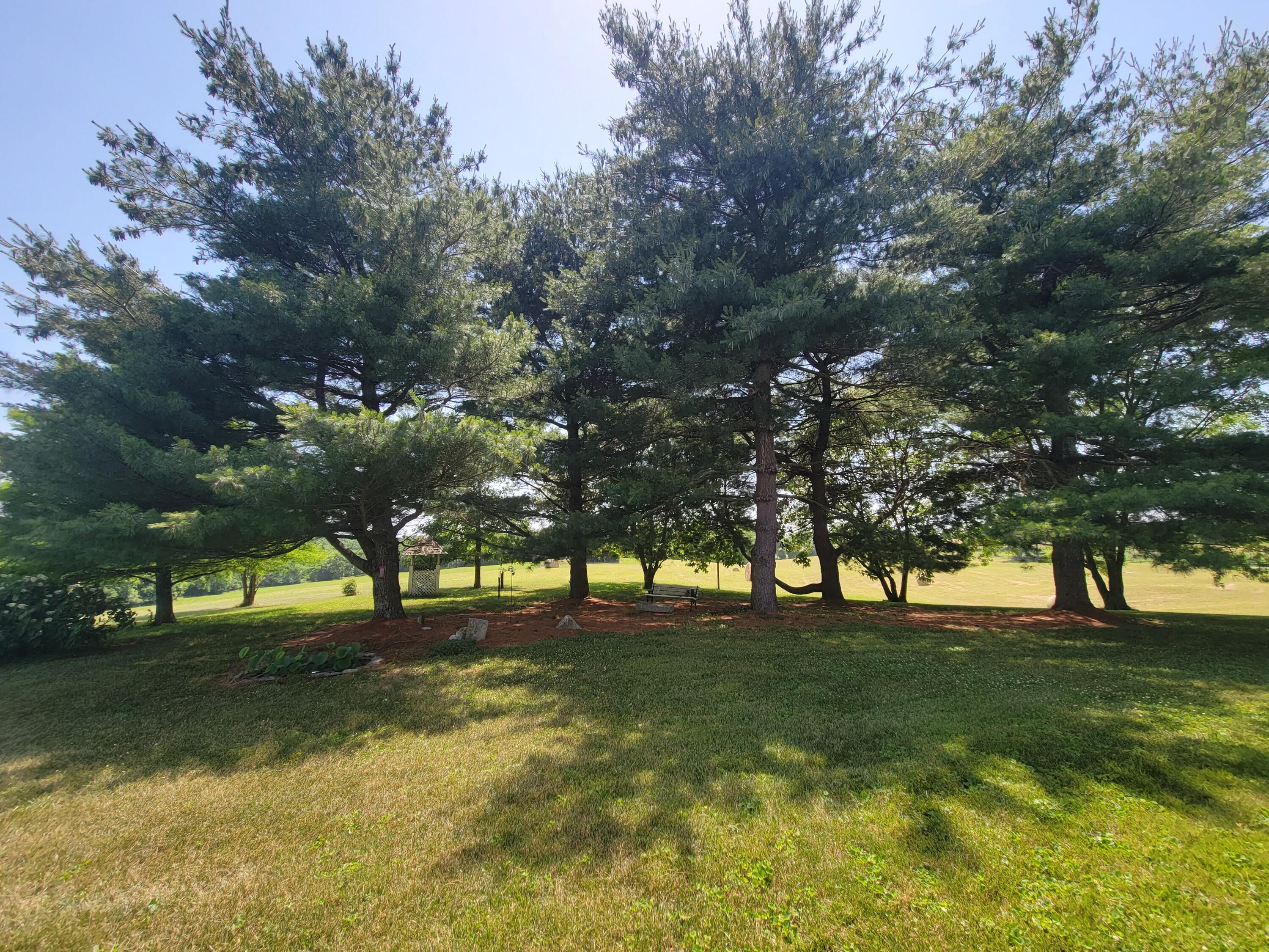 4897 Fords Mill Road Versailles, KY 40383 - Photo 11 of 52 20220614_152126