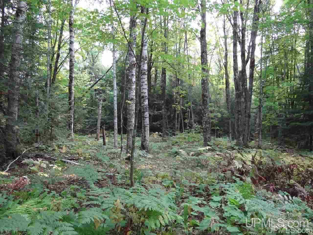 Tbd Freda Road, Unit PARCEL F Atlantic Mine, MI 49905 - Photo 8 of 12